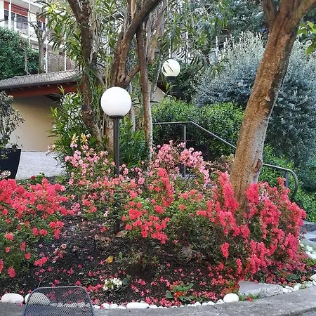 酒店 夸尔希诺酒店 3*